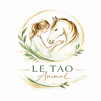 Une connexion entre la praticienne shiatsu et le cheval qui se sent en confiance et apaisé suite à la séance basée sur la médecine chinoise